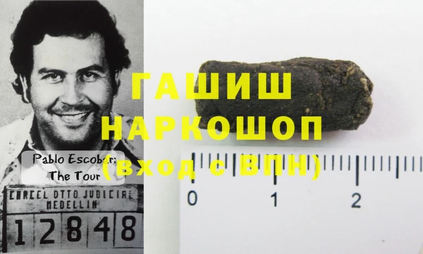 гидра Бородино