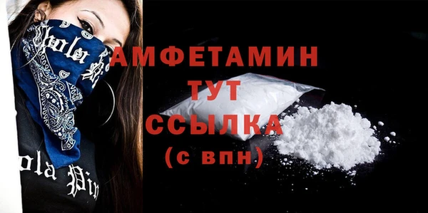 твердый Володарск