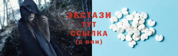 гидра Бородино
