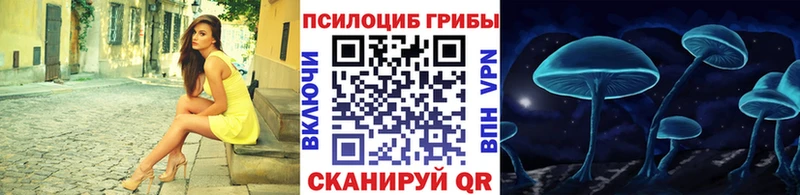 Псилоцибиновые грибы Psilocybine cubensis  Духовщина 
